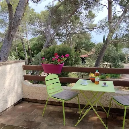 Provencale - Νιμ